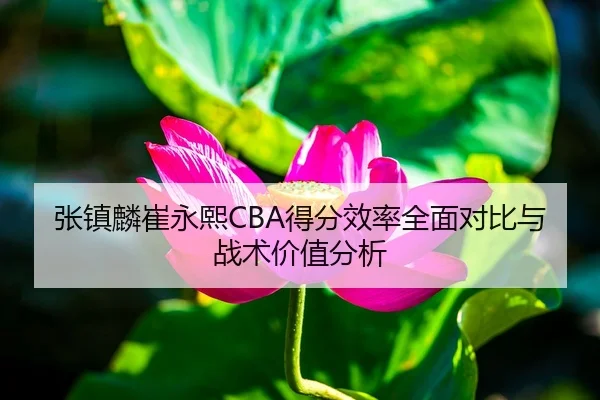 张镇麟崔永熙CBA得分效率全面对比与战术价值分析