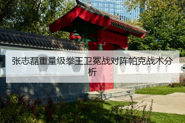 zhang-zhi-lei-zhong-liang-ji-quan-wang-wei-mian-zhan-dui-zhen-pa-ke-zhan-shu-fen-xi-2-268.jpg