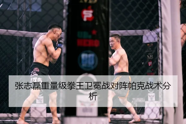 张志磊重量级拳王卫冕战对阵帕克战术分析